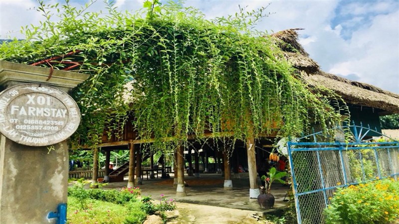 Xôi Farmstay - Yên Bái