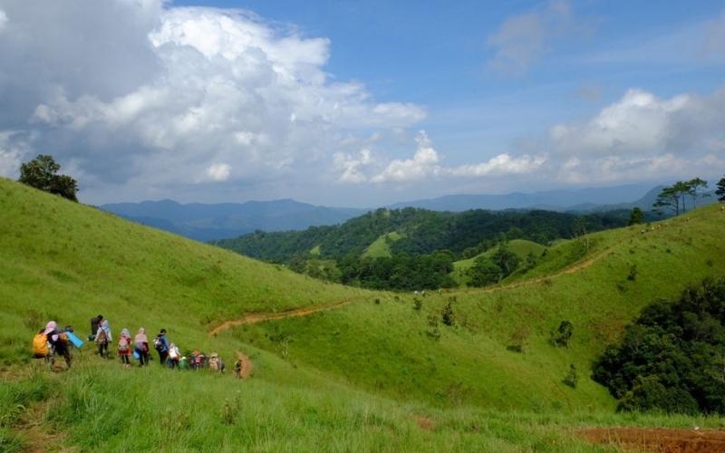 Du khách đang trekking cung đường Tà Năng – Phan Dũng