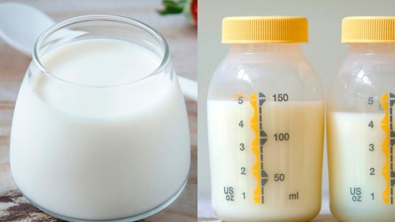Nguyên liệu làm sữa chua từ sữa mẹ