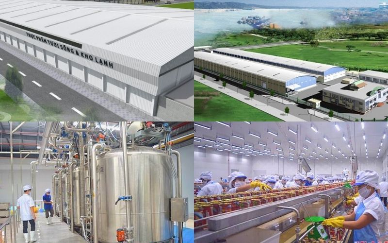 Nhà máy Royal Foods với quy mô và công nghệ sản xuất hiện đại