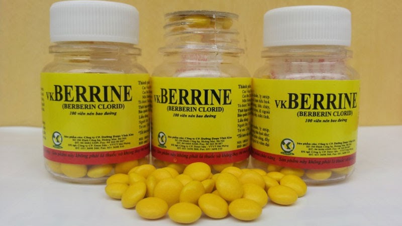 Berberin được chiết xuất chủ yếu từ rễ và thân cây vàng đắng