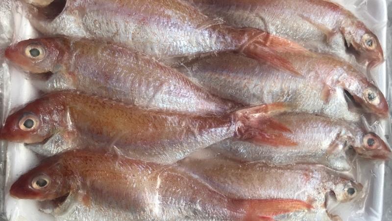 Cách chọn cá hường tươi ngon, không sợ mua nhầm cá ươn