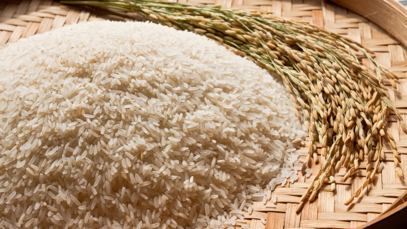 Gạo bao thai Định Hoá