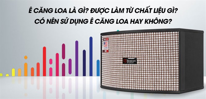 Ê căng loa là gì? Được làm từ chất liệu gì? Có nên sử dụng ê căng loa hay không?