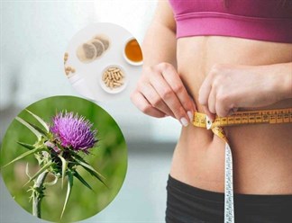 Milk Thistle (Kế sữa) có thể dùng để giảm cân không?