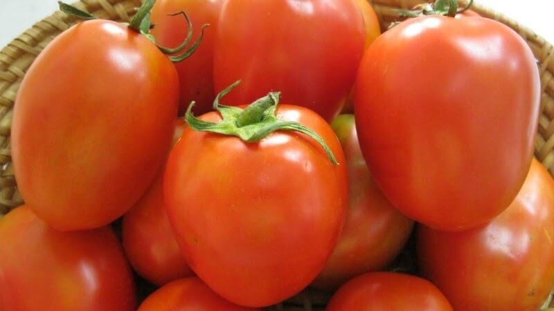 Cách tẩy lông nách bằng cà chua không đau rát và cực kỳ hiệu quả