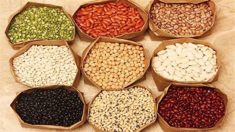 What are Lectins? Foods high in Lectin you need to know