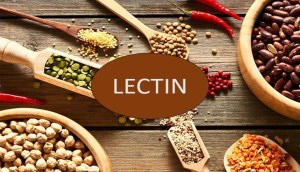 Lectins là gì? Những loại thực phẩm chứa nhiều Lectin bạn cần biết