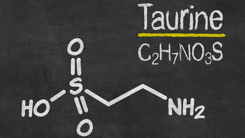 Taurine là gì? Vai trò của taurine với sức khỏe