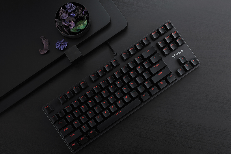 Bàn phím TKL (Tenkeyless) là gì? Có nên mua và sử dụng bàn phím TKL không? > Bàn Phím Cơ Có Dây Gaming Rapoo V500alloy Đen