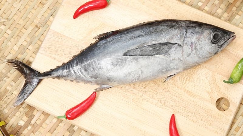 Cá ngừ tươi hay đóng hộp đều chứa lượng lớn taurine