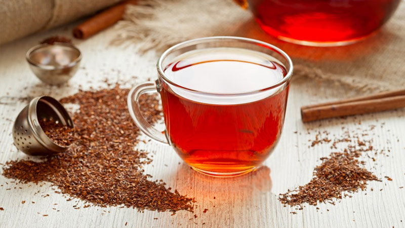 What is rooibos tea? The great uses of South African Red Tea