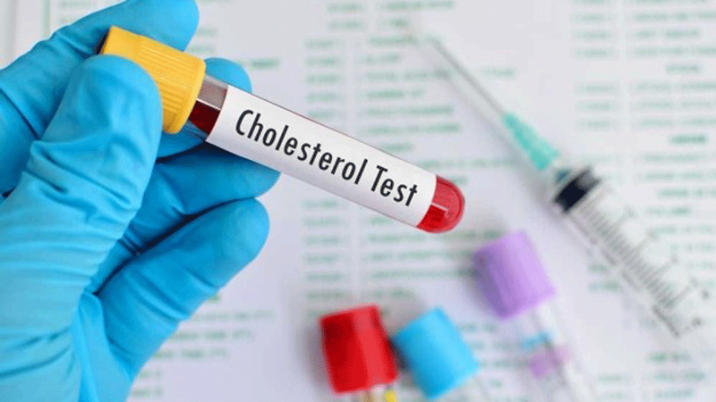 Uống trà giảo cổ lam có thể giúp giảm cholesterol