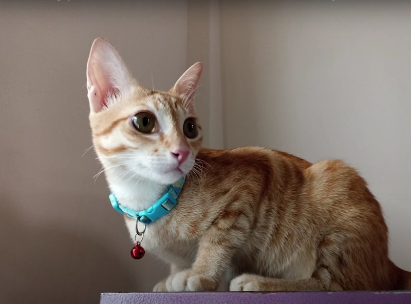 Ảnh chụp trên Redmi Note 10S. Ảnh chụp trên Redmi Note 10S.