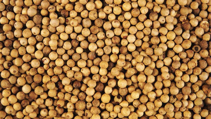 Giá tiêu thế giới