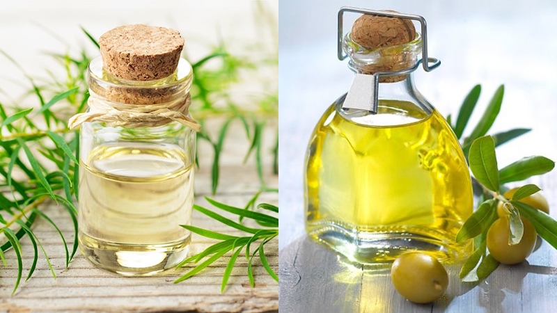 Dầu tràm và dầu olive là hỗn hợp tuyệt vời giúp trị ngứa sau khi cạo lông chân