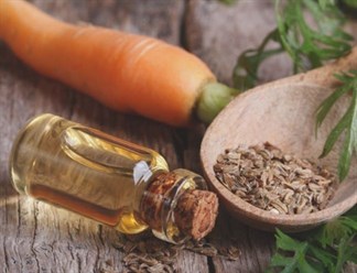 Tinh Dầu Hạt Carrot - Carrot Seed Essential Oil