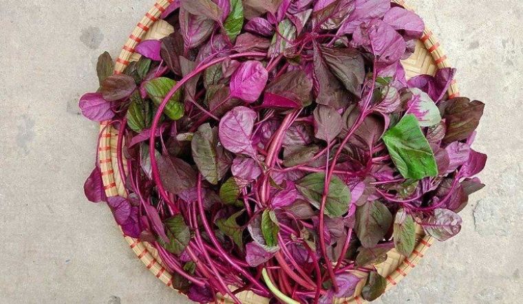 Dưỡng da toàn diện với bó rau nấu canh quen thuộc mỗi ngày