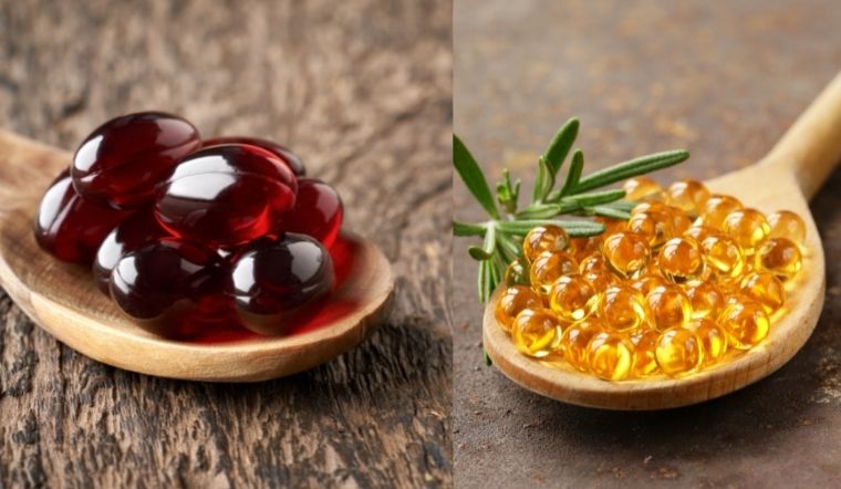 Nên dùng dầu krill hay dầu cá? Loại nào tốt cho sức khỏe của bạn?