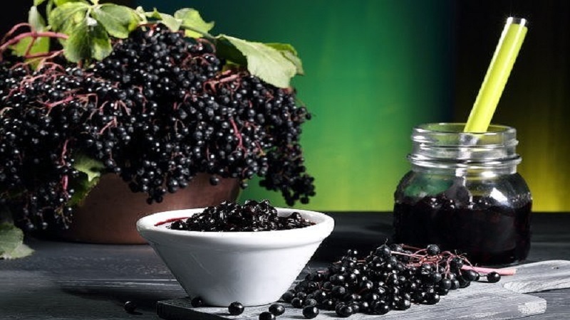 Elderberry có tác dụng điều trị dị ứng