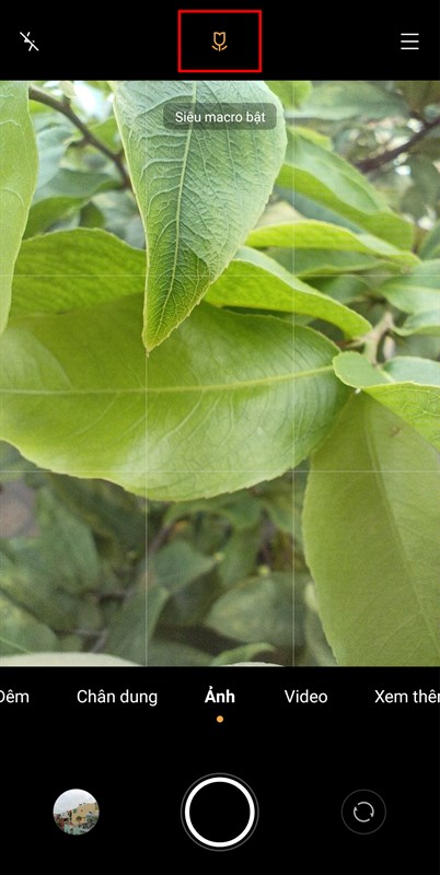 Chụp Macro