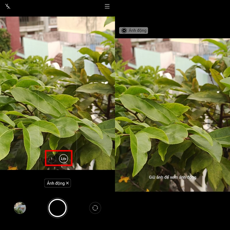 Chụp ảnh động