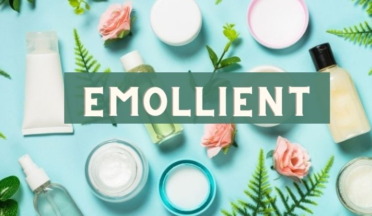 Emollient - cái tên vàng trong làng dưỡng ẩm mà bạn cần biết