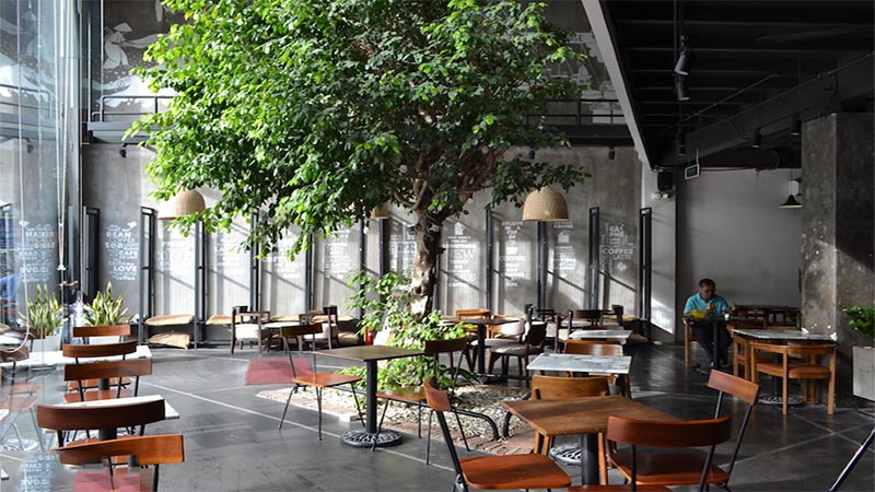 20 quán cafe ở khu Thảo Điền cho bạn làm việc, học tập hoặc thư giãn