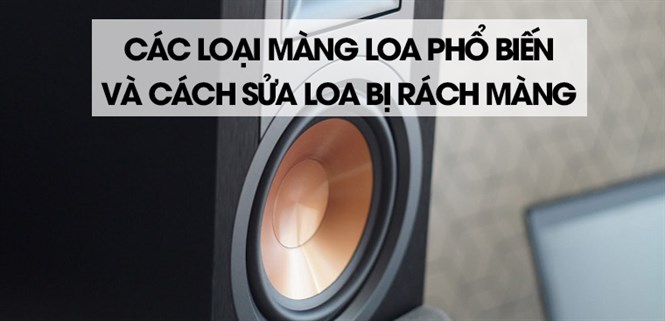 Các loại màng loa phổ biến trên thị trường hiện nay và cách sửa loa bị rách màng nhanh chóng