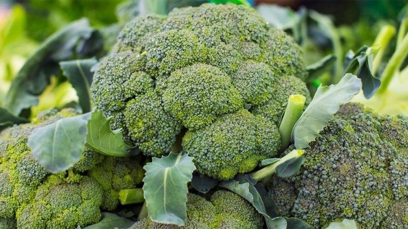Bông cải xanh là nguồn thực phẩm giàu vitamin, khoáng chất và chất chống oxy hóa