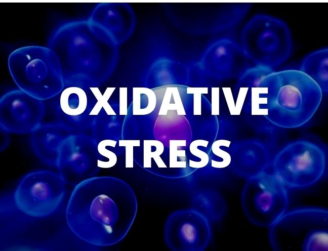 Oxi hóa có ảnh hưởng đến quá trình oxy hoá không?