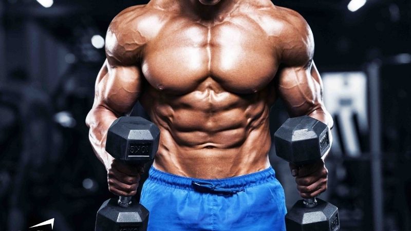 Leucine cũng kích thích tổng hợp protein trong cơ