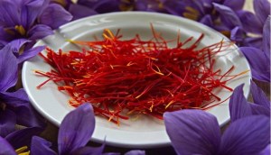 Uống nhụy hoa nghệ tây có tăng cân không? Cách uống saffron để tăng cân nhanh