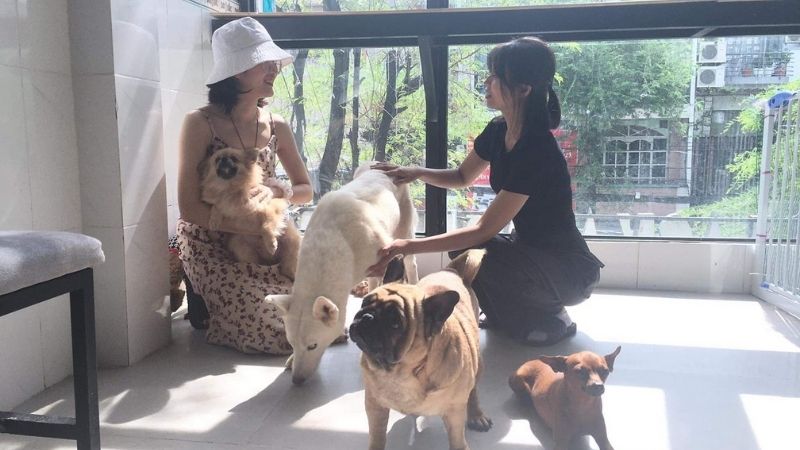 13 quán cafe thú cưng được các tín đồ mê cún check-in nhiều nhất ở Sài Gòn