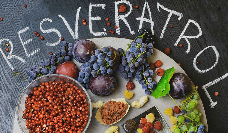 Resveratrol là gì? Những lợi ích khi bổ sung Resveratrol cho cơ thể