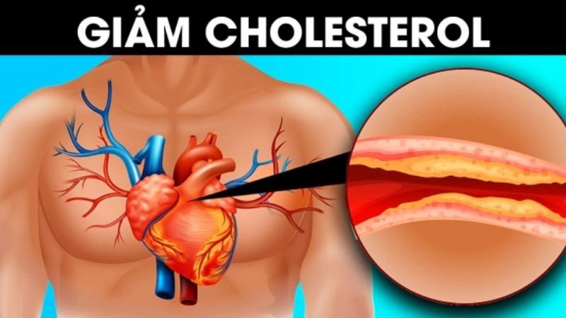 Rau mồng tơi giúp giảm cholesterol hiệu quả