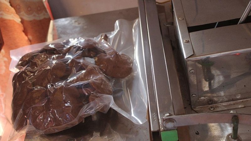 Preserving lingzhi mushrooms by industrial drying
