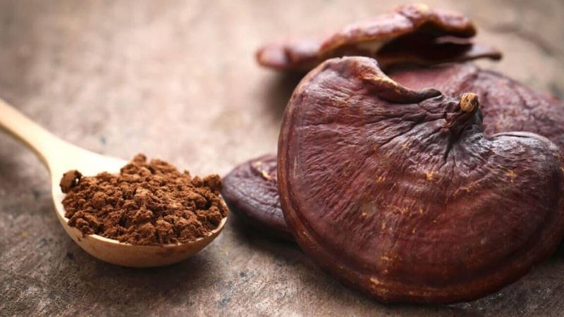 Preserving lingzhi mushrooms by grinding them into powder