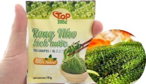 bò dát vàng là gì