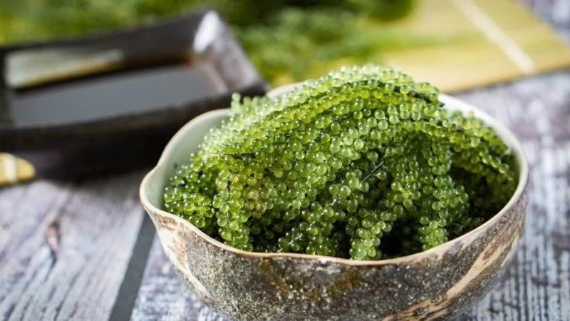 Rong nho tách nước Top Food