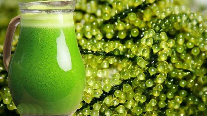 Nước ép rong nho