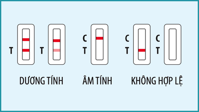 Kết quả sau khi test nhanh