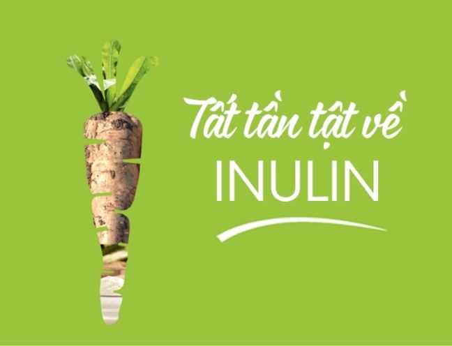 Chất xơ inulin là gì?