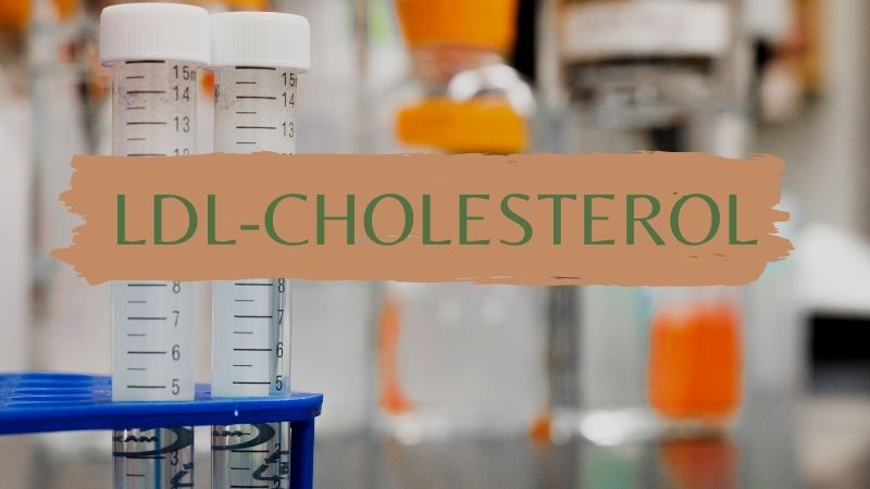 Chỉ số LDL là gì? Chỉ số LDL-cholesterol trong máu cao có ý nghĩa gì?