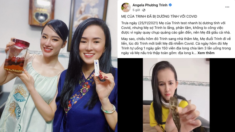 Angela Phương Trinh đã đăng tải bài đăng trên Facebook về khả năng điều trị Covid của địa long