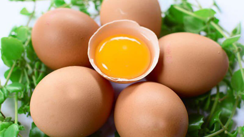 Trứng là nguồn thực phẩm cung cấp nhiều chất dinh dưỡng tốt