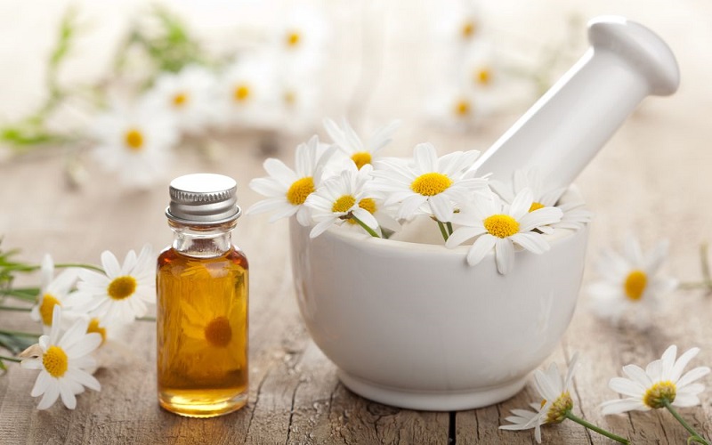 Hoa cúc La Mã (Chamomile) | viamclinic.vn