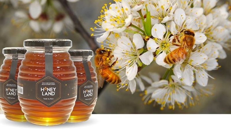Mật ong hoa rừng HoneyLand được làm từ 100% mật ong nguyên chất hoa rừng.