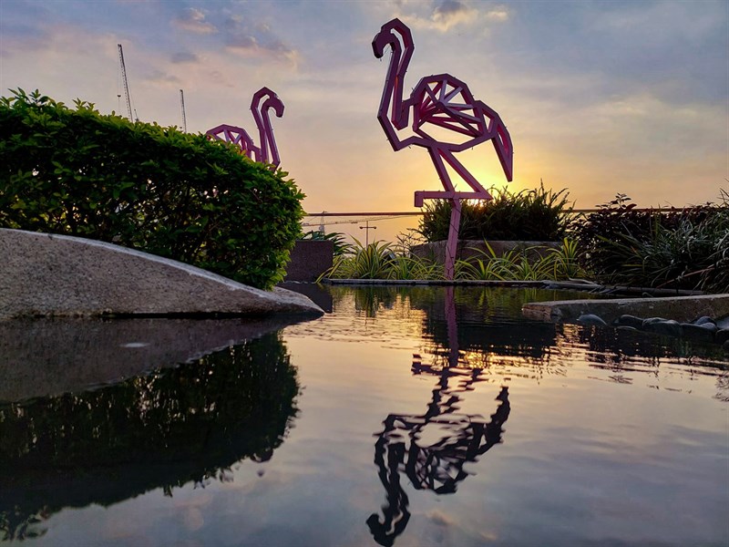 Ảnh chụp từ camera galaxy a52s 5g