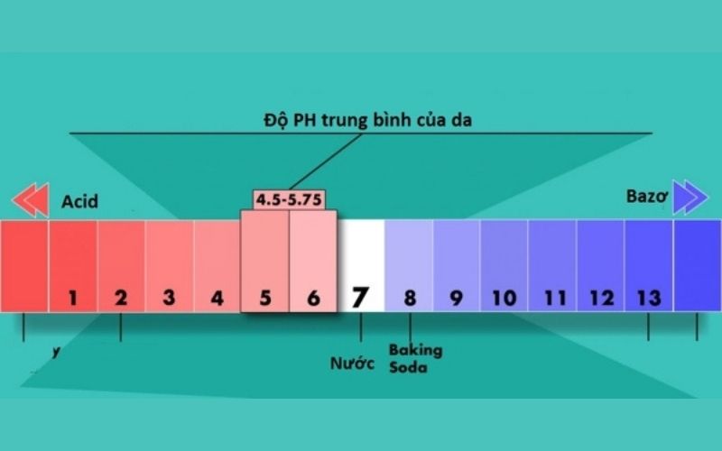 Tartaric Acid giúp điều chỉnh độ pH của da